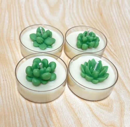Mini Succulent Jars