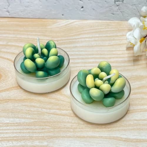 Mini Succulent Jars