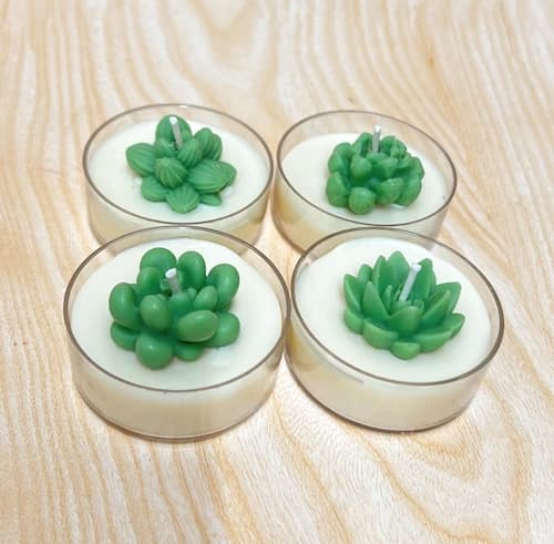 Mini Succulent Jars