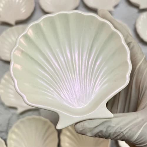Shell Tray