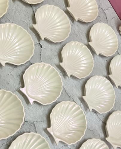 Shell Tray