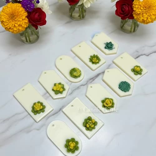 Succulent Fragrance Bars