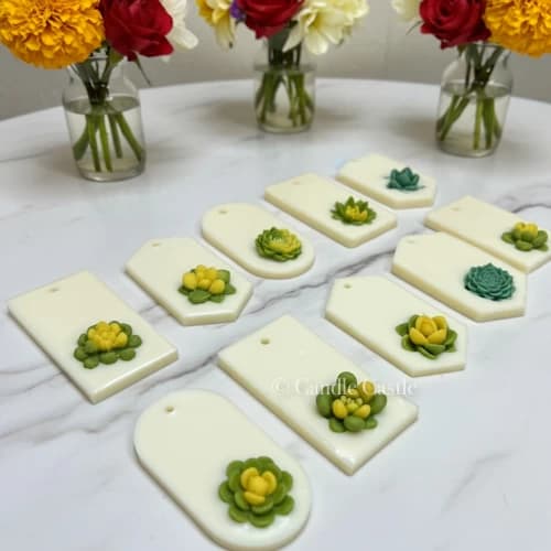 Succulent Fragrance Bars - Image 3