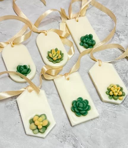 Succulent Fragrance Bars