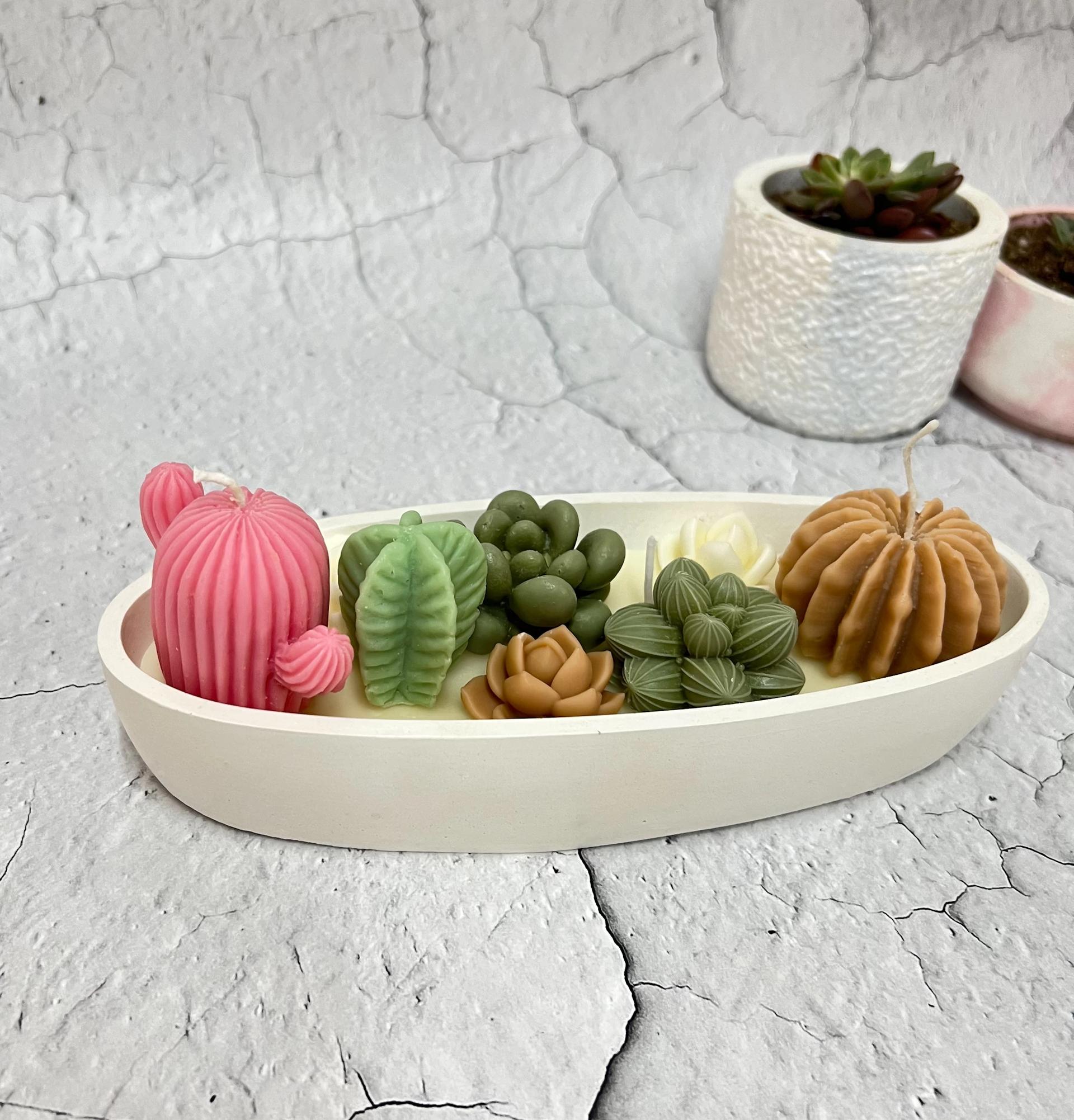 Succulent Garden Boat Candle